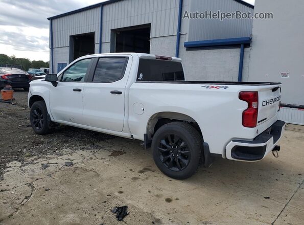 3GCPDBEK9PG201068 2023 CHEVROLET SILVERADO White Задня ліва чверть