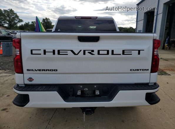 3GCPDBEK9PG201068 2023 CHEVROLET SILVERADO White Вид ззаду