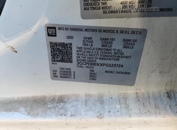 3GCPDBEKXPG123724 2023 CHEVROLET SILVERADO White Vista del compartimento del motor