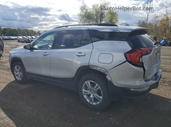 3GKALMEV2LL190273 2020 GMC TERRAIN Silver Tył lewy