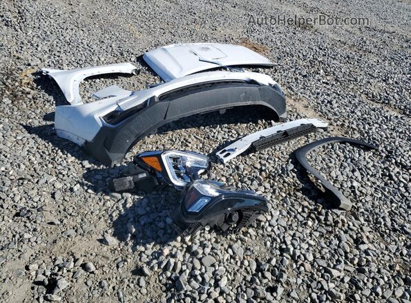 3GKALPEG2PL197832 2023 GMC TERRAIN White Vista de la etiqueta del VIN