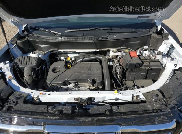 3GKALUEG6SL244142 2025 GMC TERRAIN White 