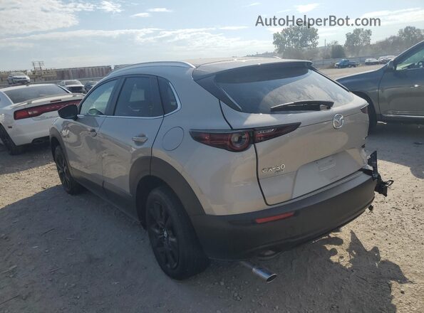 3MVDMBBM9RM680216 2024 MAZDA CX-30 Silver Հետևի ձախ