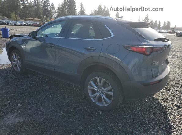 3MVDMBEM2LM101425 2020 MAZDA CX-30 Gray Задня ліва чверть