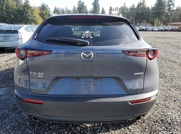 3MVDMBEM2LM101425 2020 MAZDA CX-30 Gray Вид ззаду