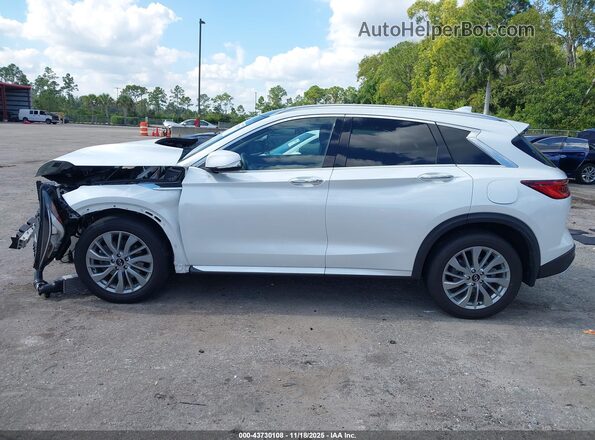 3PCAJ5BA1PF108711 2023 INFINITI QX50 White Սալոնի հետևի տեսք