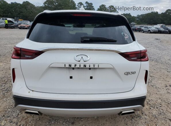 3PCAJ5BA4PF117502 2023 INFINITI QX50 White Հետևի տեսք