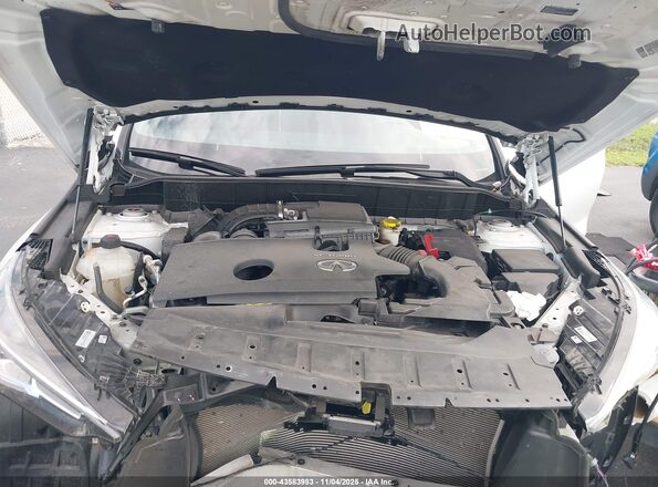 3PCAJ5FA2RF102106 2024 INFINITI QX50 White Вид ззаду