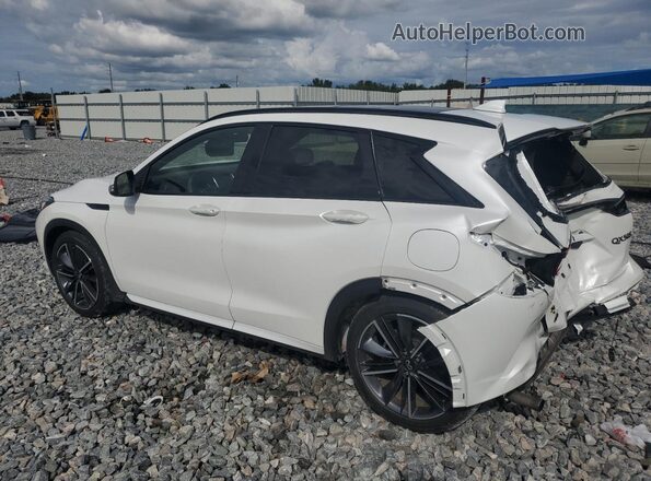 3PCAJ5FB7PF118551 2023 INFINITI QX50 White Հետևի ձախ