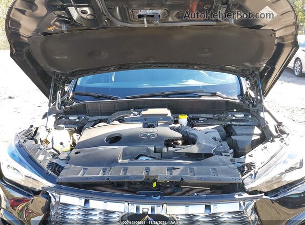 3PCAJ5KR3RF101610 2024 INFINITI QX55 Black Հետևի տեսք