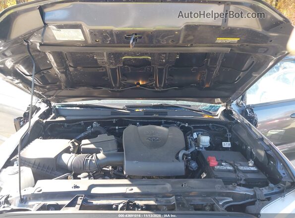 3TMCZ5AN0LM316767 2020 TOYOTA TACOMA Gray Вид ззаду