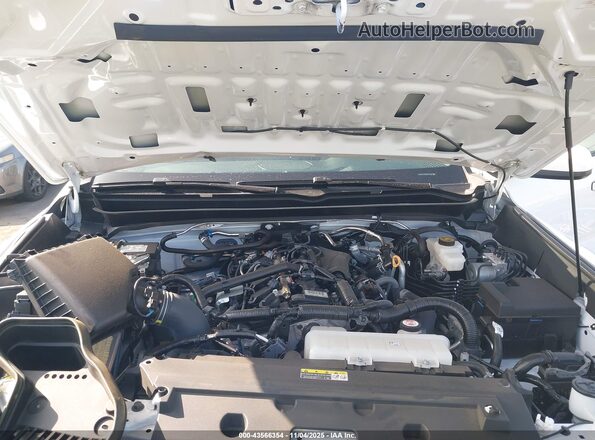 3TMLB5JN3RM063330 2024 TOYOTA TACOMA White Vista trasera