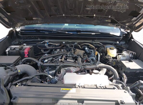 3TMLB5JN4SM143659 2025 TOYOTA TACOMA Gray Widok z tyłu