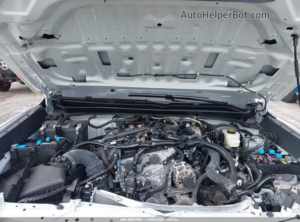 3TYJDAHN8RT010546 2024 TOYOTA TACOMA Белый Вид сзади