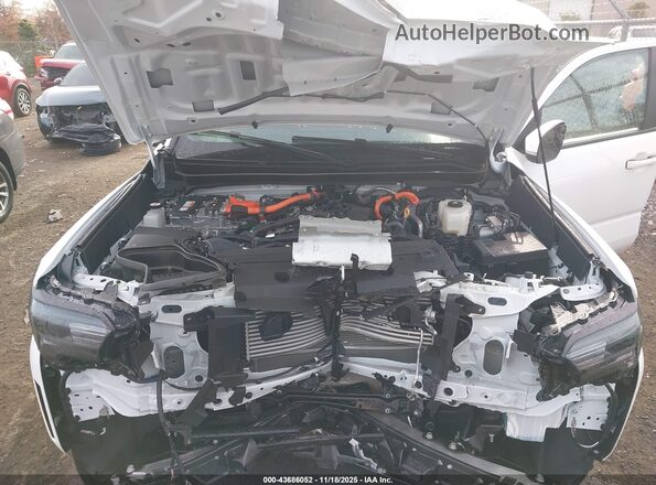 3TYLC5LN8ST023328 2025 TOYOTA TACOMA HYBRID White Widok z tyłu