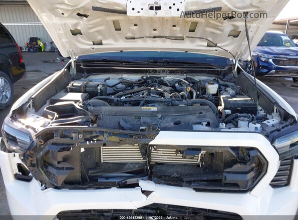 3TYLD5KN2RT004380 2024 TOYOTA TACOMA White Widok z tyłu