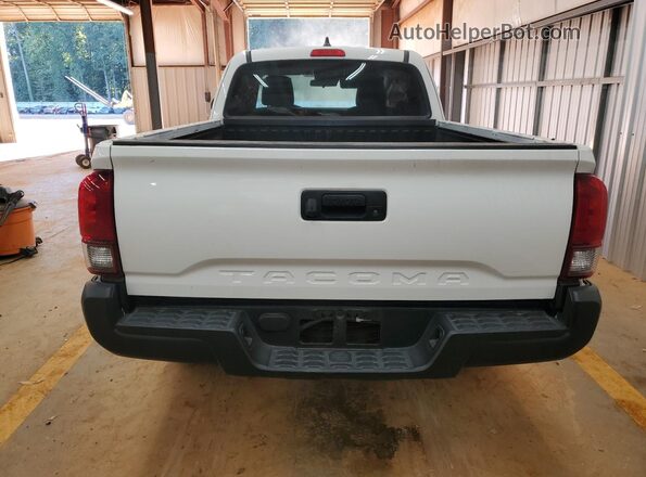 3TYRX5GN4PT074261 2023 TOYOTA TACOMA White Вид ззаду