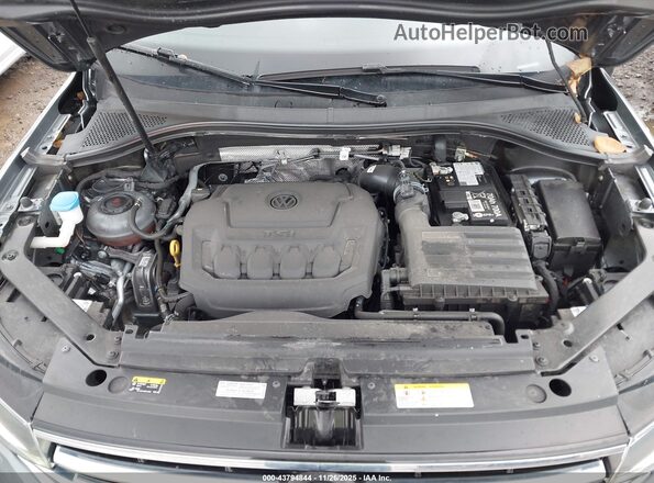 3VV2B7AX8RM019883 2024 VOLKSWAGEN TIGUAN Gray Հետևի տեսք