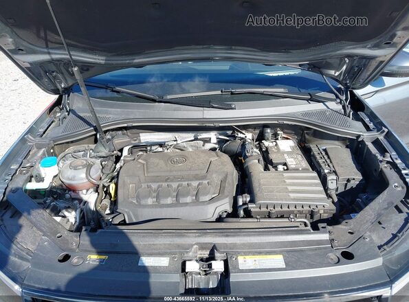 3VVMB7AX9RM063772 2024 VOLKSWAGEN TIGUAN Gray Вид ззаду