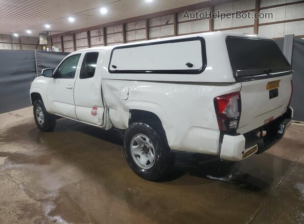 3TYRX5GNXNT046199 2022 TOYOTA TACOMA White Tył prawy