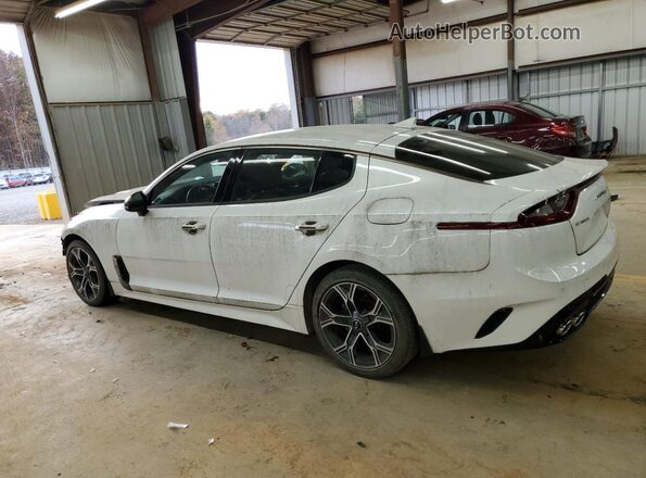 KNAE15LA8M6089983 2021 KIA STINGER White Tył prawy