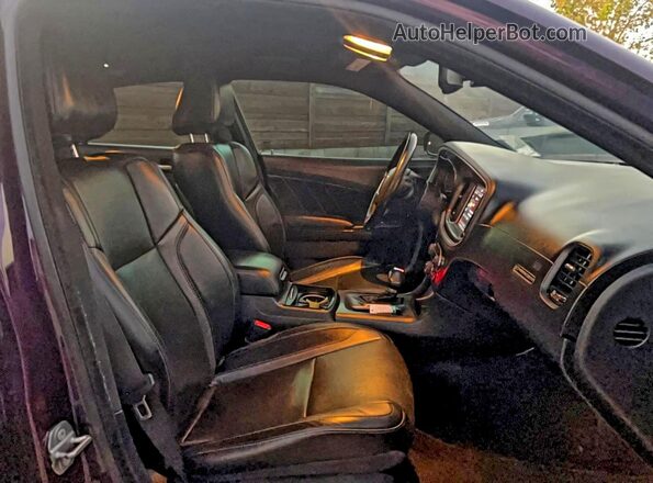 2C3CDXBG6LH234409 2020 DODGE CHARGER Purple Вид ззаду