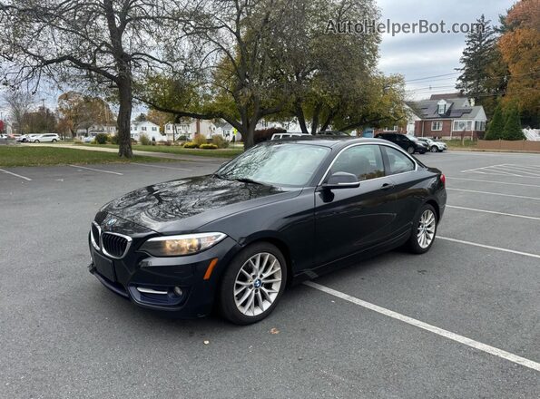 WBA1G9C52GV599148 2016 BMW 2 SERIES Black Задня права чверть