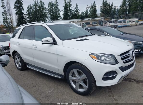 4JGDA5HB4GA808045 2016 MERCEDES-BENZ GLA-CLASS White Widok wnętrza z tyłu