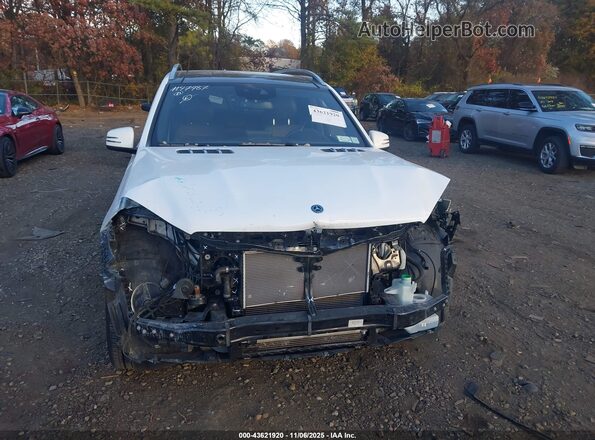 4JGDF6EEXKB236164 2019 MERCEDES-BENZ GLS 450 Белый Вид щитка приборов