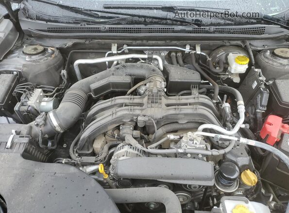 4S4BTAEC5L3193916 2020 SUBARU OUTBACK Gray Սալոնի հետևի տեսք