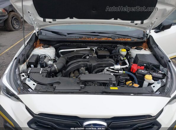4S4GUHF65S3721022 2025 SUBARU CROSSTREK White Vista trasera