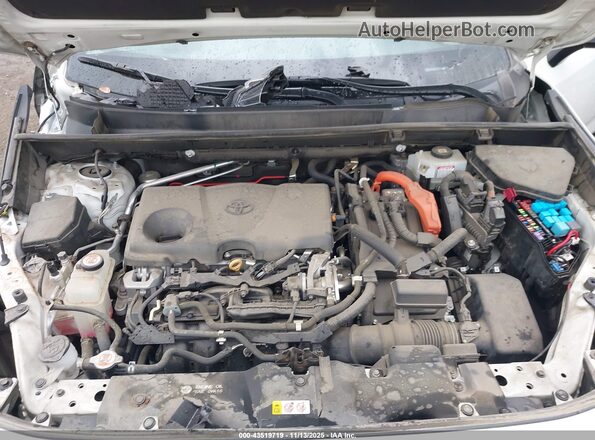 4T3E6RFV9MU027176 2021 TOYOTA RAV4 HYBRID White უკანა ხედი