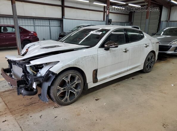 KNAE15LA8M6089983 2021 KIA STINGER White Tył lewy