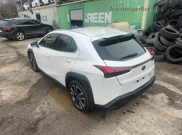 JTHP9JBH0M2048569 2021 LEXUS UX 250H Белый Передняя правая четверть