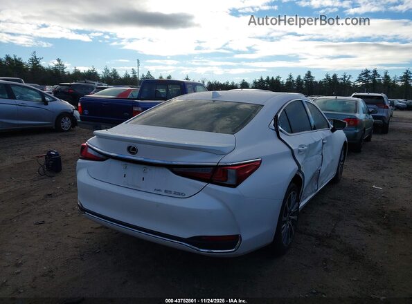 58AD11D10MU002907 2021 LEXUS ES 250 White Tył prawy