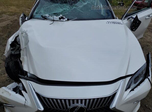 58AD11D12MU007395 2021 LEXUS ES White უკანა სალონის ხედი