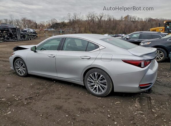 58AD21B12LU012045 2020 LEXUS ES Silver Задня ліва чверть