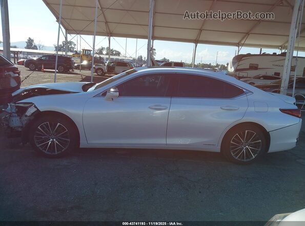 58ADA1C11NU018505 2022 LEXUS ES 300H Белый 