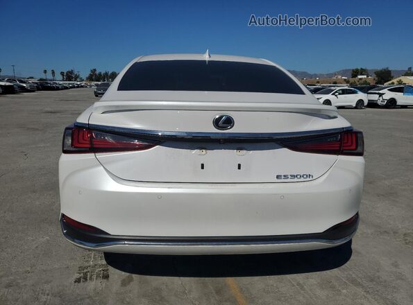 58ADA1C11RU048593 2024 LEXUS ES White Rear view