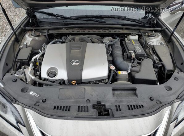58ADZ1B11MU106950 2021 LEXUS ES Gray Սալոնի հետևի տեսք