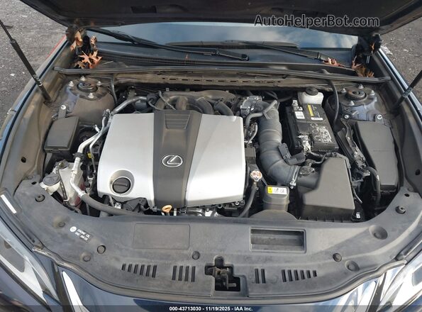 58ADZ1B17LU076237 2020 LEXUS ES 350 Blue Հետևի տեսք