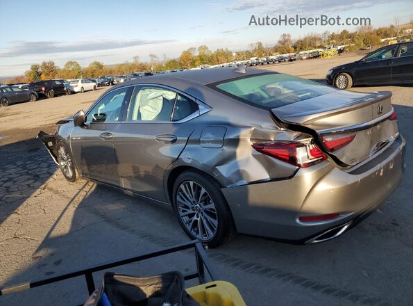 58ADZ1B19LU074912 2020 LEXUS ES Gray Հետևի ձախ