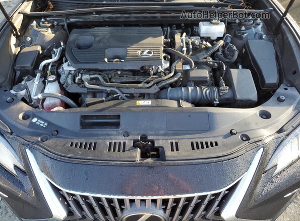 58AEA1C1XPU034676 2023 LEXUS ES Black Rear interior view