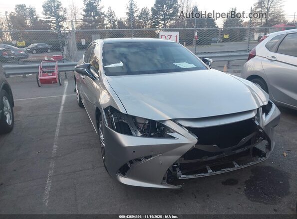 58AFZ1B19LU068388 2020 LEXUS ES 350 Серый Вид задней части салона