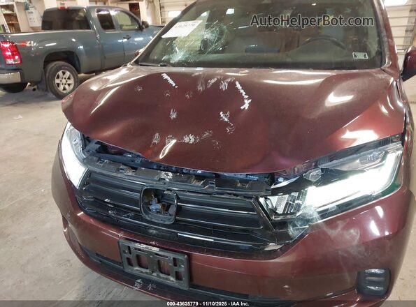 5FNRL6H51MB007015 2021 HONDA ODYSSEY Burgundy Դիմացի տեսք