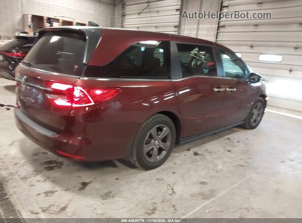 5FNRL6H51MB007015 2021 HONDA ODYSSEY Burgundy Հետևի աջ