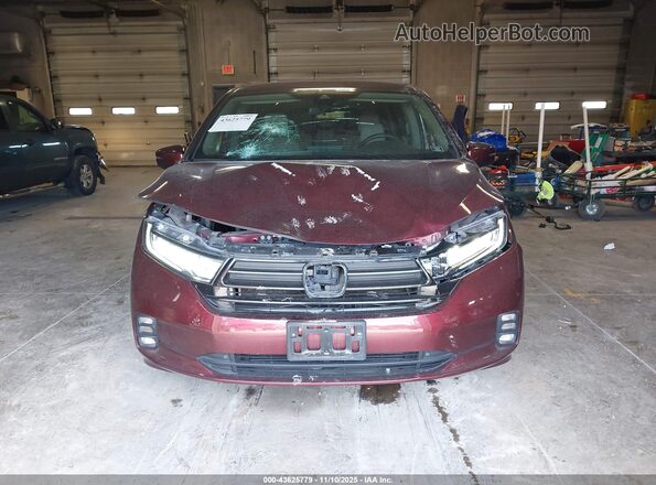 5FNRL6H51MB007015 2021 HONDA ODYSSEY Burgundy Սալոնի հետևի տեսք