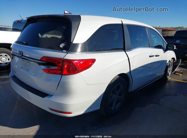 5FNRL6H51NB053462 2022 HONDA ODYSSEY Белый Задняя правая четверть