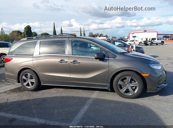 5FNRL6H53NB031074 2022 HONDA ODYSSEY Gray Вид задньої частини салону