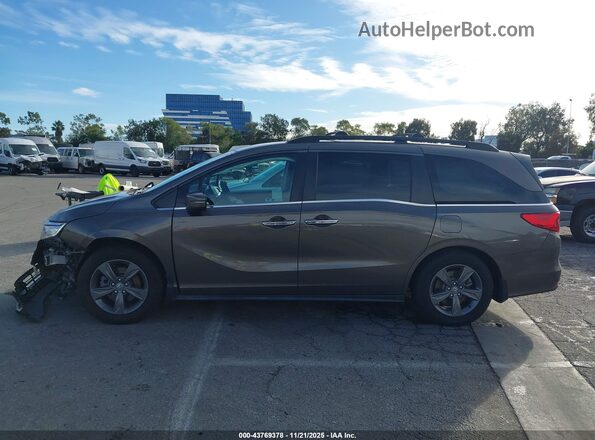 5FNRL6H53NB031074 2022 HONDA ODYSSEY Gray Панорамний вид салону 360°